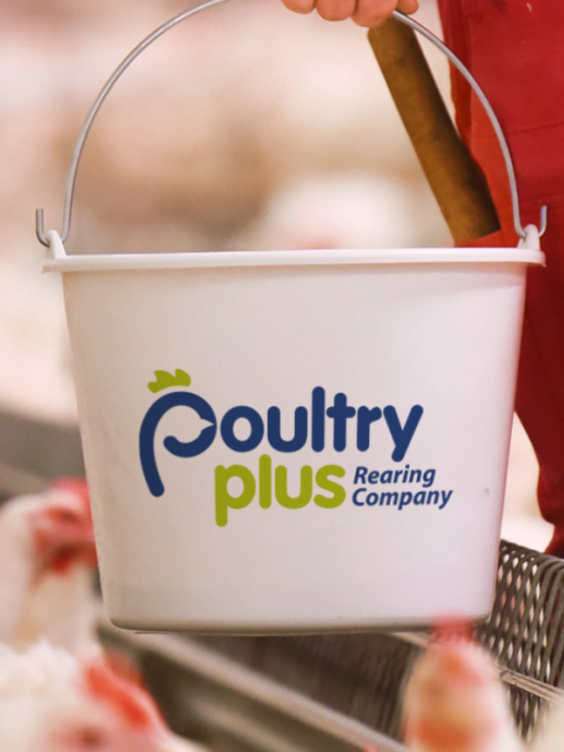 Poultrtyplus header