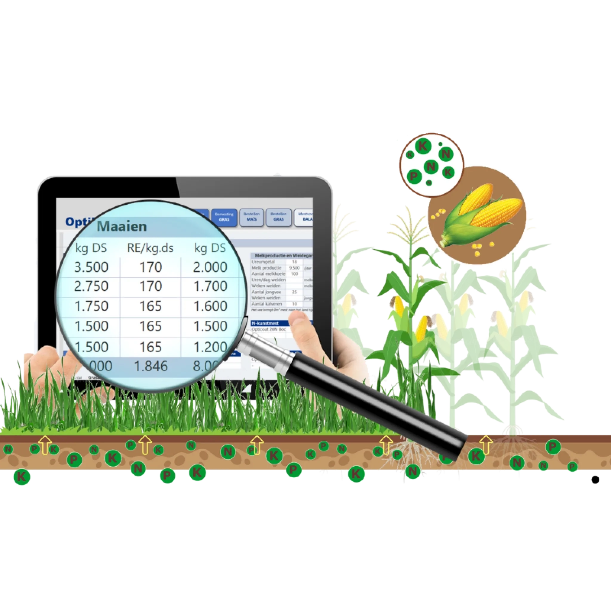 Optiplant visual